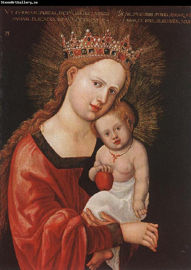 ALTDORFER, Albrecht Mary with the Child  kkk